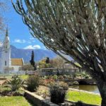 242272286 109126468187146 883473530544571227 n 2 150x150