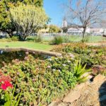 290183299 10166632974985578 7782329021470387549 n 2 150x150