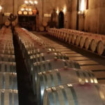 294560863 455191396617727 1458218205840793212 n 2 150x150