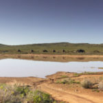 Amathunzi 19 150x150