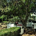 Beckhuis2.JPG 150x150