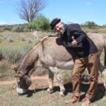 David Kramer is the Patron of Eseltjiesrus. Here he is giving huggs to one of the rescued donkeys 2 150x150