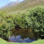 Dwarsberg Trout Hideaway 11 150x150