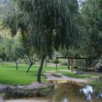 Dwarsberg Trout Hideaway 12 150x150