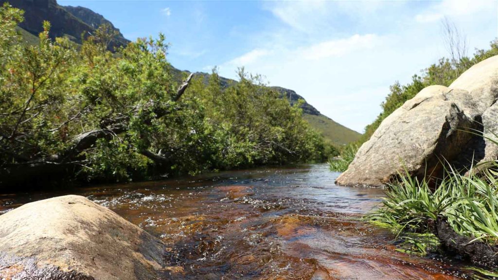 Dwarsberg Trout Hideaway Worcester Tourism