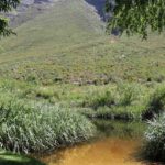 Dwarsberg Trout Hideaway 8 150x150