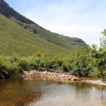 Dwarsberg Trout Hideaway 9 150x150