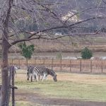 Eagles Cliff 15 150x150