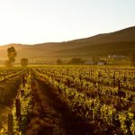 Eagles Cliff 16 150x150