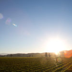 Eagles Cliff 19 150x150