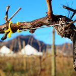 Eagles Cliff 20 150x150