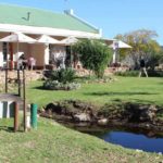 Eseltjiesrus donkey sanctuary2 150x150