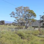 Eseltjiesrus donkey sanctuary8 150x150