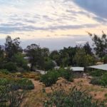 IMG 20191110 185939 150x150