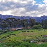 IMG 20200825 162130 150x150