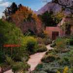 IMG 20220513 175801 150x150