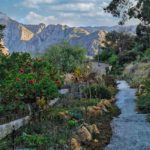 IMG 20220525 091227 150x150