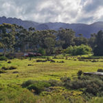 IMG 20220618 125834 150x150