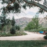 PIKTOGRAFI 131 2 150x150