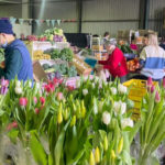 Pure Boland market 1024x573 1 150x150