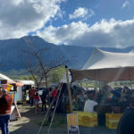 Pure Boland market1 1 150x150