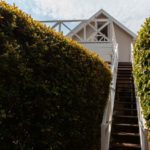 The Habit 10 150x150