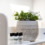 The Habit 15 150x150