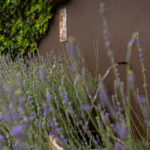 The Habit 21 150x150