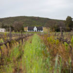 281875522 301759098838140 7994965467129693446 n 2 150x150