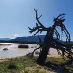 Amathunzi new 4 150x150