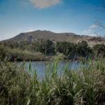 Bonamanzi River View 2 150x150