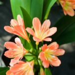 IMG 20240607 WA0019 150x150