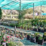 IMG 20240607 WA0020 150x150