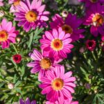 IMG 20240607 WA0021 150x150