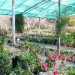 IMG 20240607 WA0025 150x150