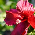 IMG 20240607 WA0026 150x150