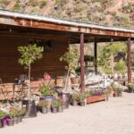 IMG 20240607 WA0030 150x150