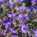 IMG 20240607 WA0033 150x150