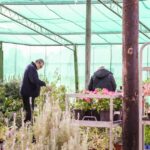 IMG 20240607 WA0034 150x150